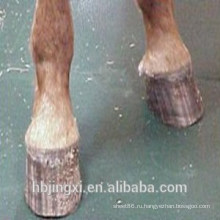 Стабильный Плавный Лошадь Резиновые Коврики / Коврики Для Продажи